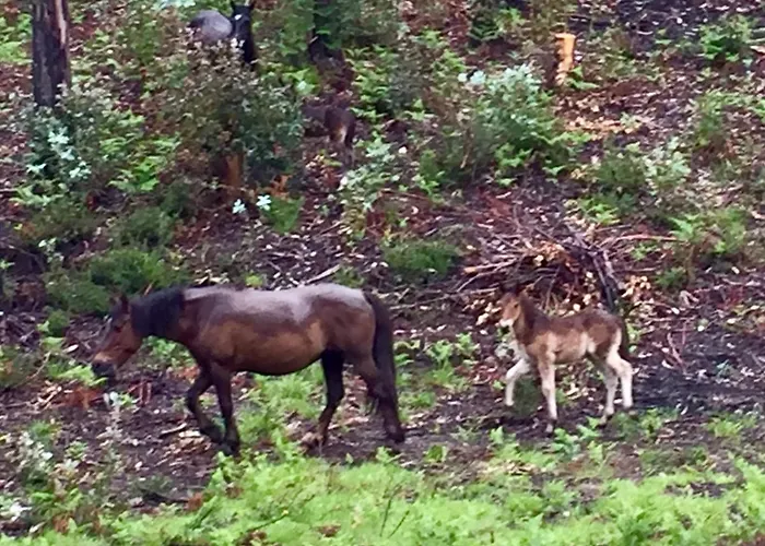 度假居 Casa Lia Da Porta *