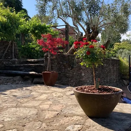Holiday home Casa Lia Da Porta *