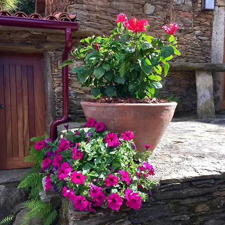 Сasa de vacaciones Casa Lia Da Porta
